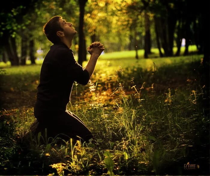 P.S. Здесь будут только реальные свидетельства, 3 из них из моей жизни. Которые коснулись лично меня. Остальные от моих знакомых, которым попросту незачем врать.  Если вам есть чем поделится, то пожалуйста оставьте свое свидетельство в комментариях. Если же вы затрудняетесь, либо не зарегистрированы, то не беспокойтесь. 