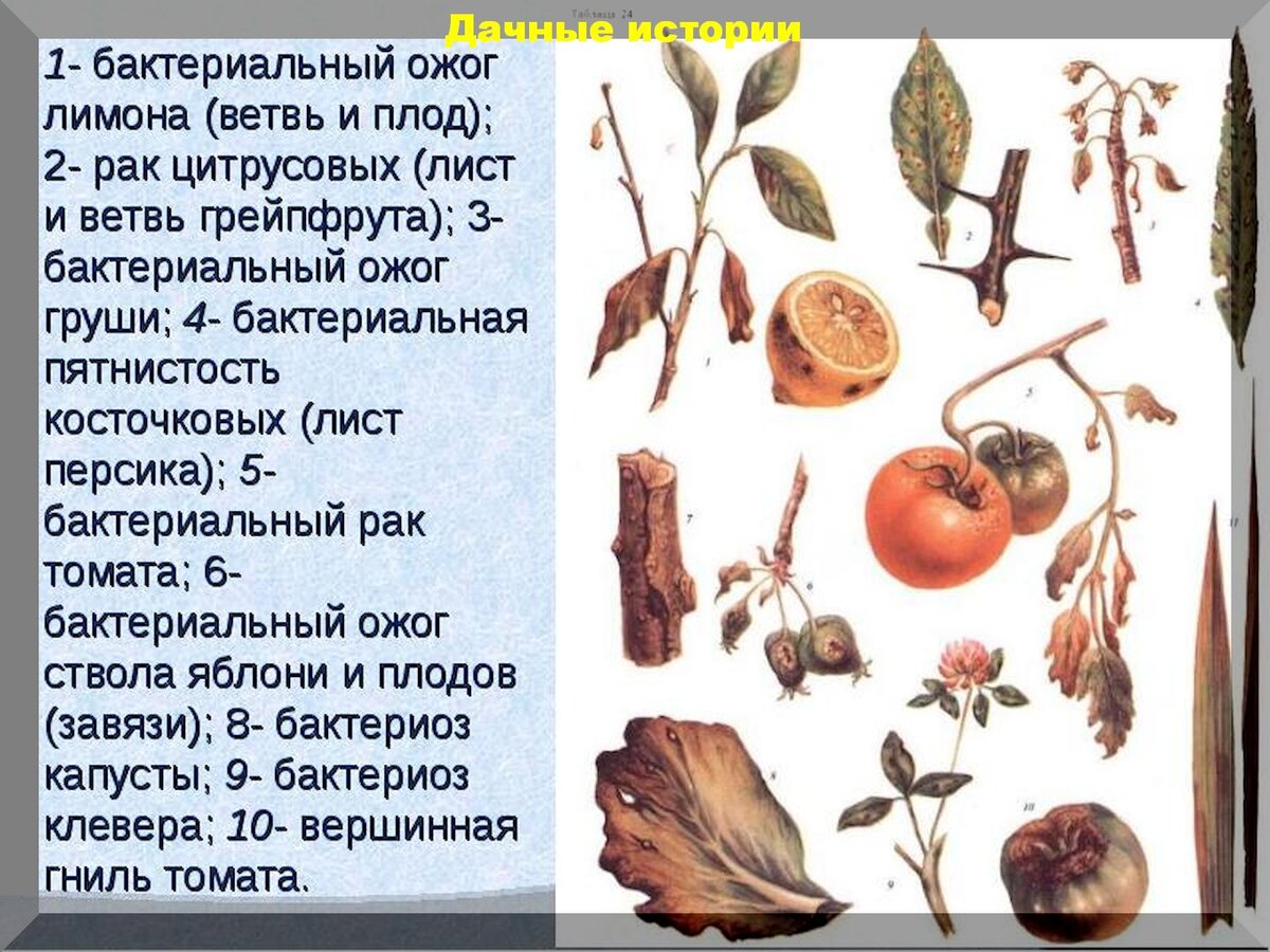https://vk.com/photo-159774511_456241725