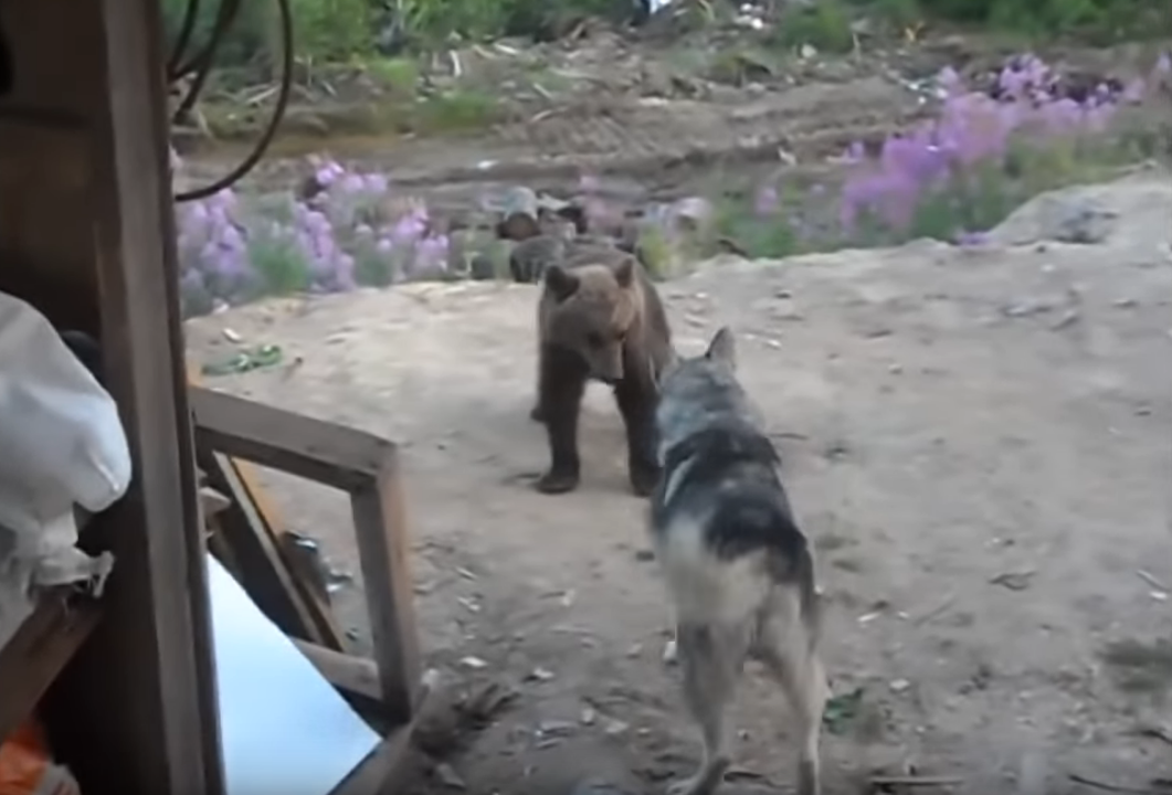 Кадр из видео Youtube-канала GK GK 