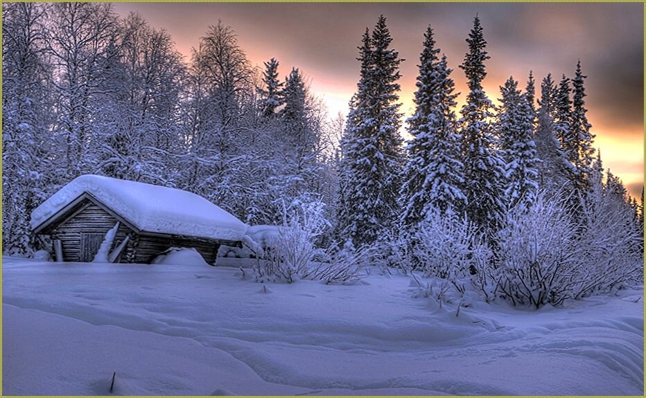 фото взято из интернета