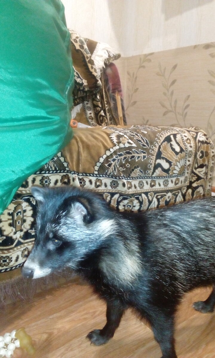 Роксане 3 месяца.