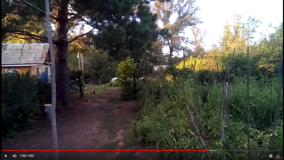 Калитка за домиком... Личное фото с видео