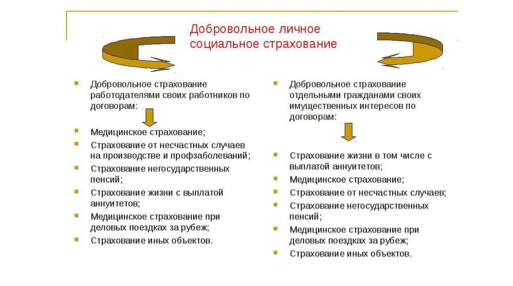 Виды страхования и примеры