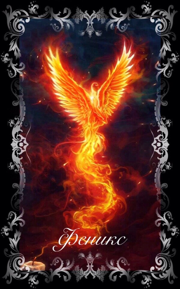 Карта дня Феникс  фото Татьяны Романовой