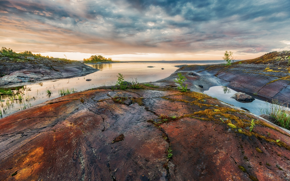 (Фото Владимир Липецких) 