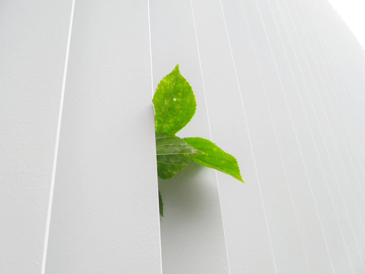 https://unsplash.com/photos/1JePildXM7g