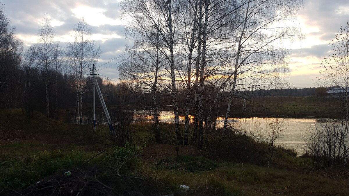 Природа это жизнь