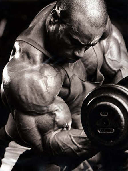 яндекс картинки