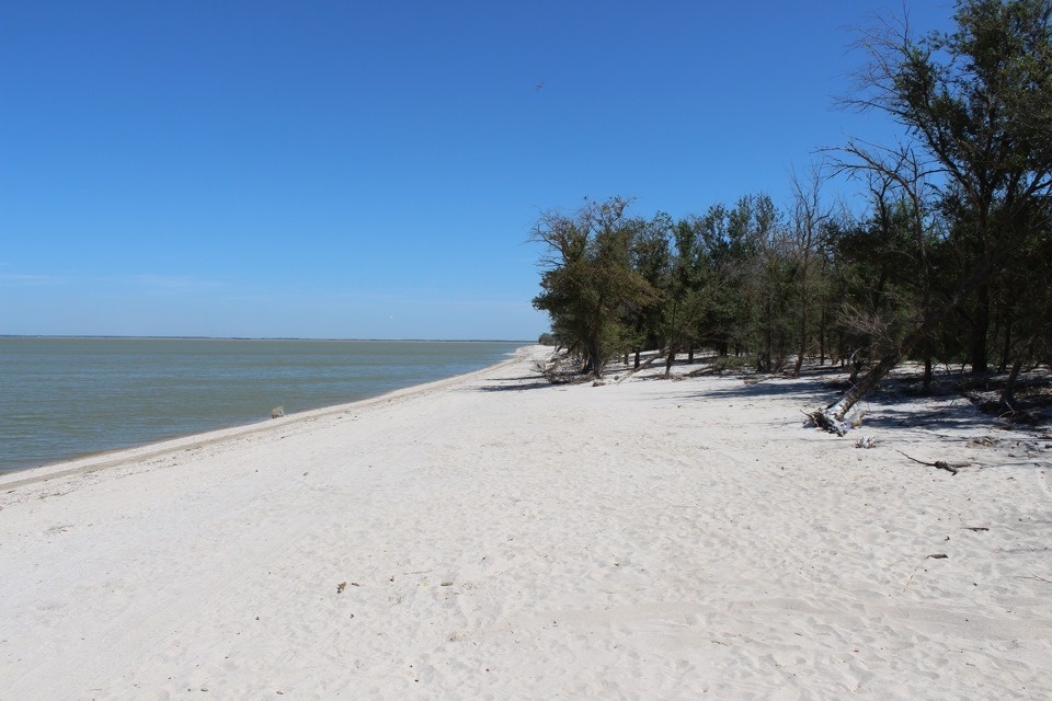 Ясенская коса