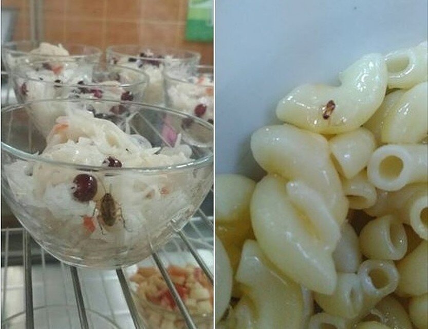 Тараканы в столовой Ижевска