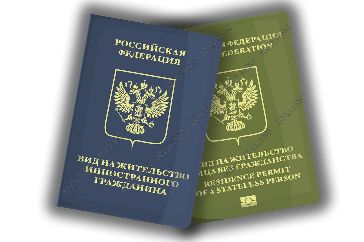 Лицо без гражданства картинки