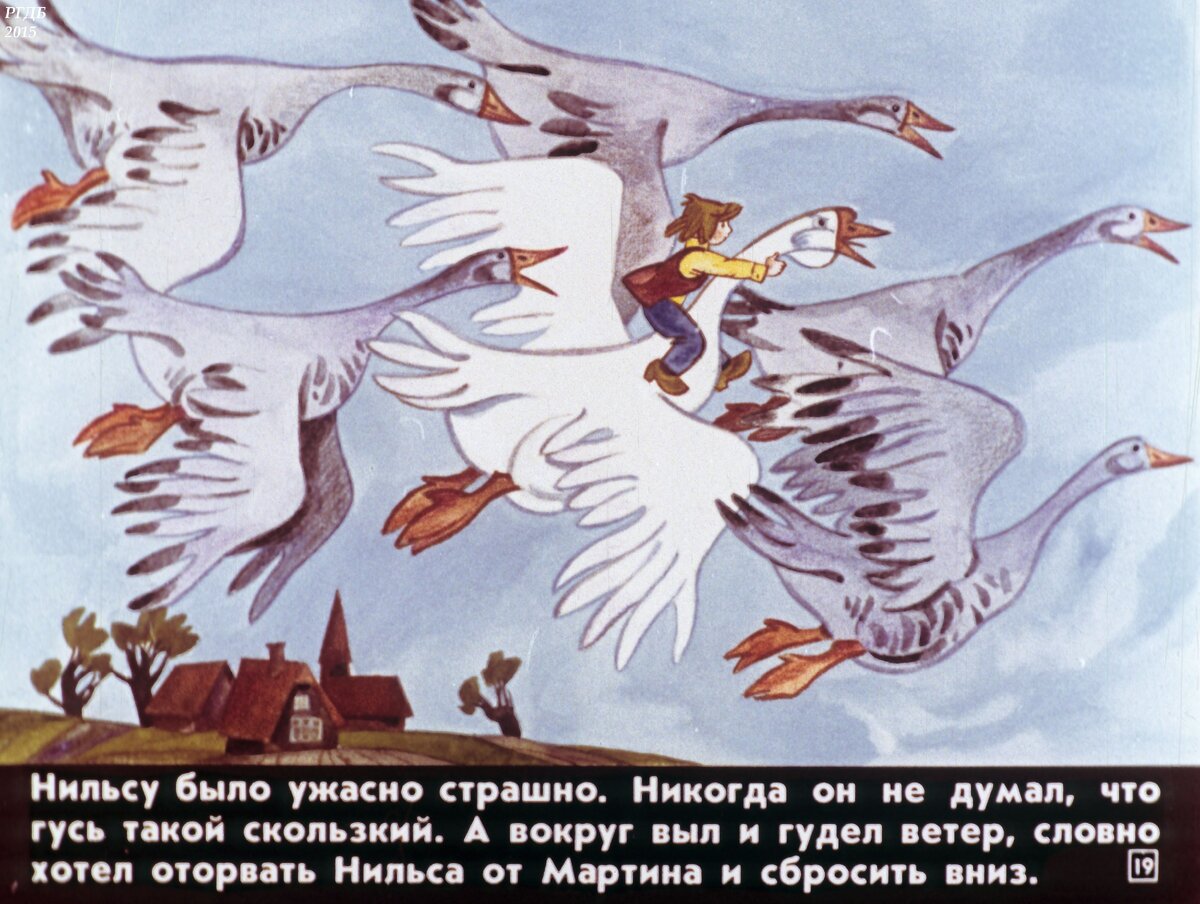 Сельма лагерлеф чудесное путешествие с дикими гусями. Сельма лагерлёф приключения нильса с дикими гусями. Сельма лагерлеф "чудесное путешествие нильса с дикими гусями". Чудесное путешествие нильса с дикими гусями сельма лагерлёф книга. Сказка чудесное путешествие нильса с дикими гусями.