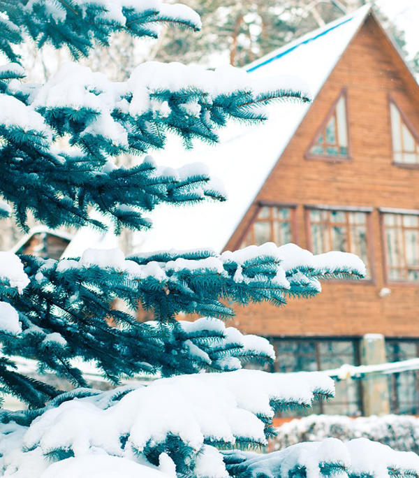https://pixabay.com/photos/spruce-snow-snowfall-snowdrift-1848544/