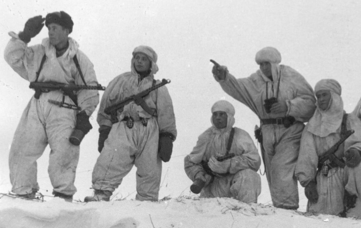 Фото из открытых источников https://yandex.ru/images/