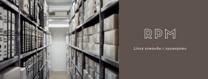 RPM (Red Hat Package Manager)