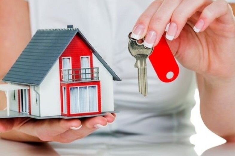 картинка из интернета в свободном доступе