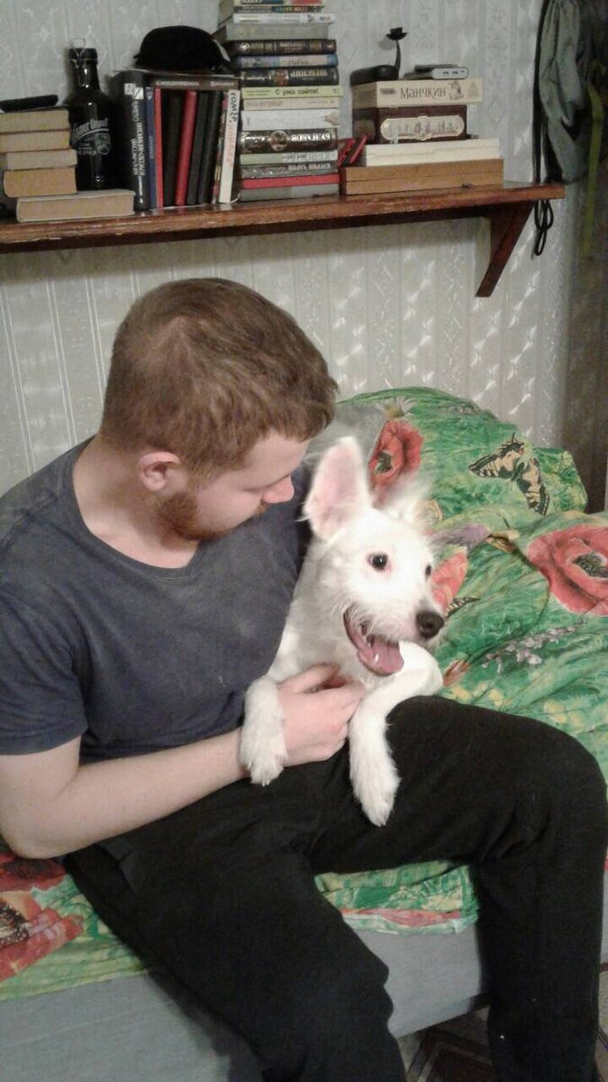 Мой довольный пёс)