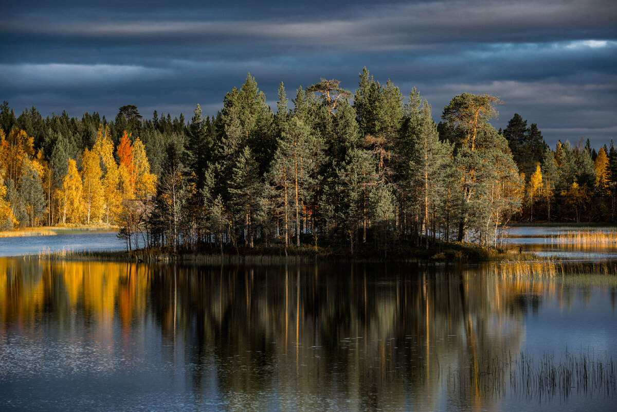 Осенняя река Карелия