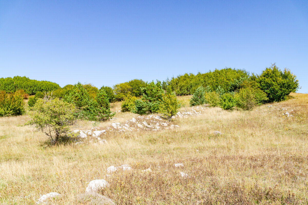 2. Поляна на яйле.

