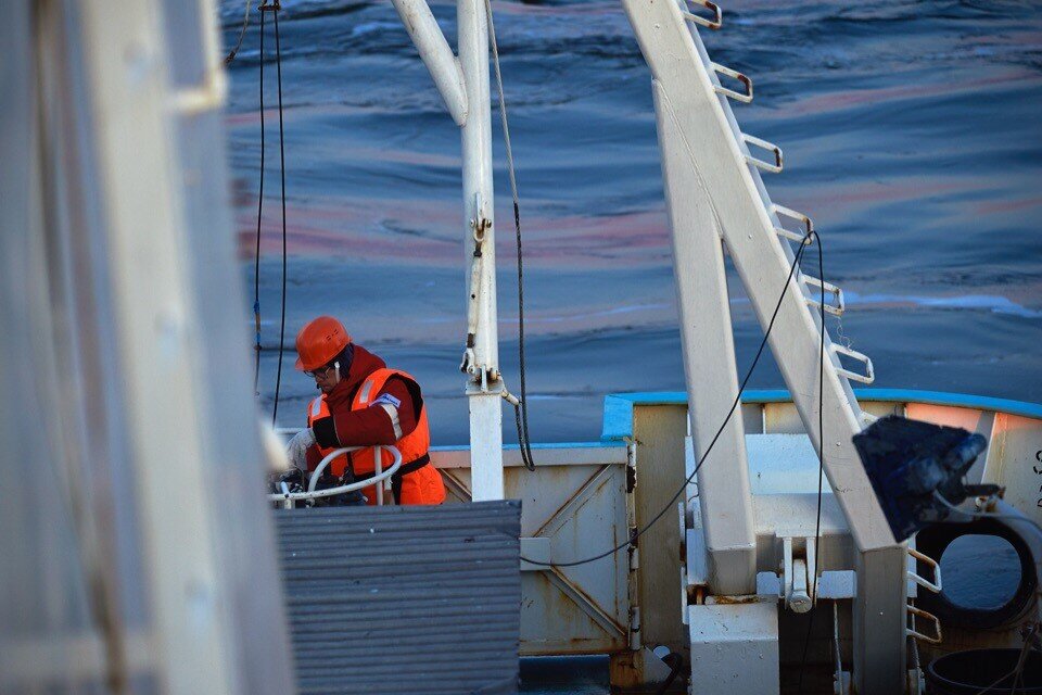 Фото: Вера Костамо, Вера Вакулова