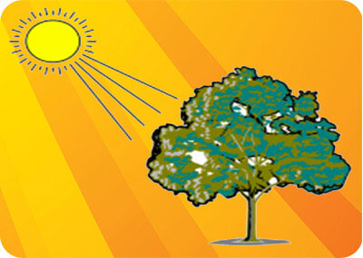 Дополнительное освещение для растений