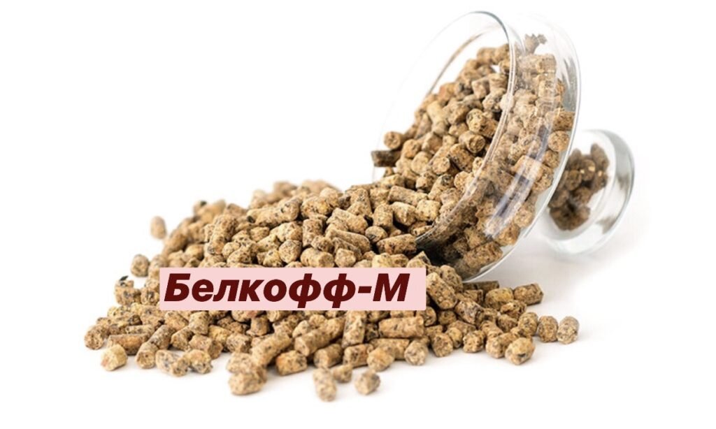 Высокобелковый кормовой продукт «Белкофф-М»