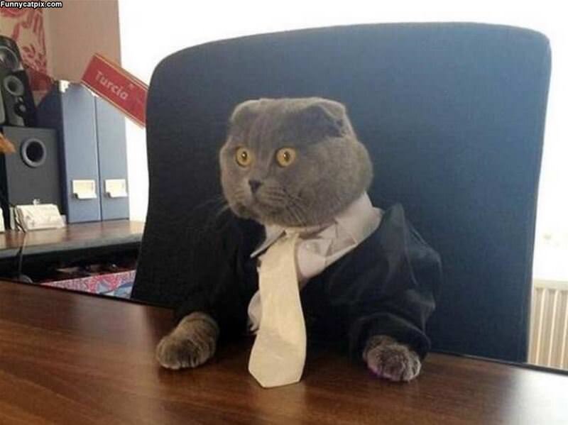 Забавный взгляд на бизнес....