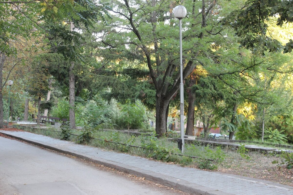 Парк в больничном городке. Можно прогуляться, если состояние здоровья позволяет, пообщаться с родственниками и прочими навещающими. Август 2019 года, фото из личного архива автора