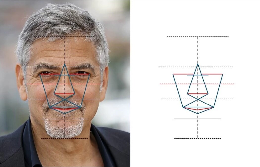 Лицо джорджа. Маска золотого сечения. Золотое сечение мужского лица. Идеальные пропорции лица. Маска золотого сечения для мужчин.