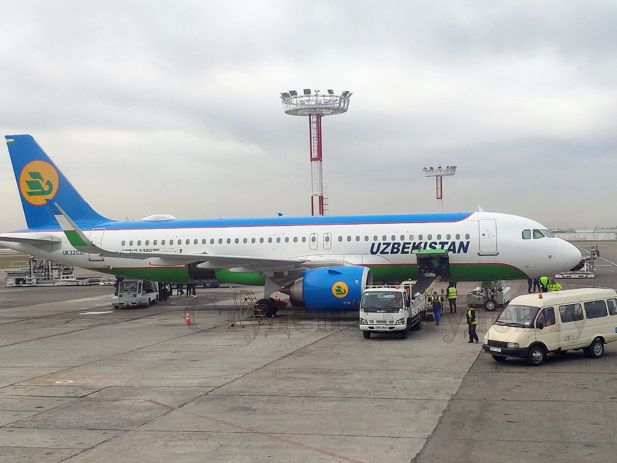 Теперь Узбекистан будет сам готовить пилотов гражданской авиации До 2019 года пилотов для авиакомпании Узбекистон Хаво Йуллари готовили в России.