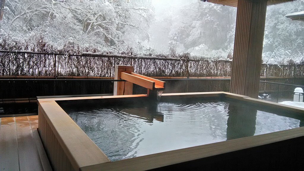 Источник фото: https://prim.news/2019/07/30/otel-s-yaponskoj-banej-postroyat-vo-vladivostoke/