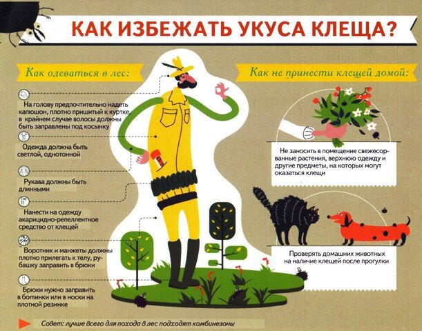 картинка из интернета