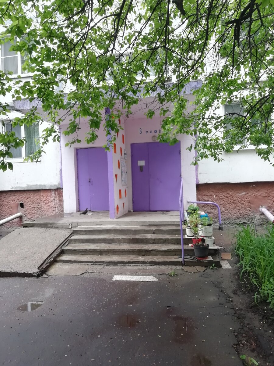 Наш подъезд, дом панельный, 9 этажей, Чешка. 