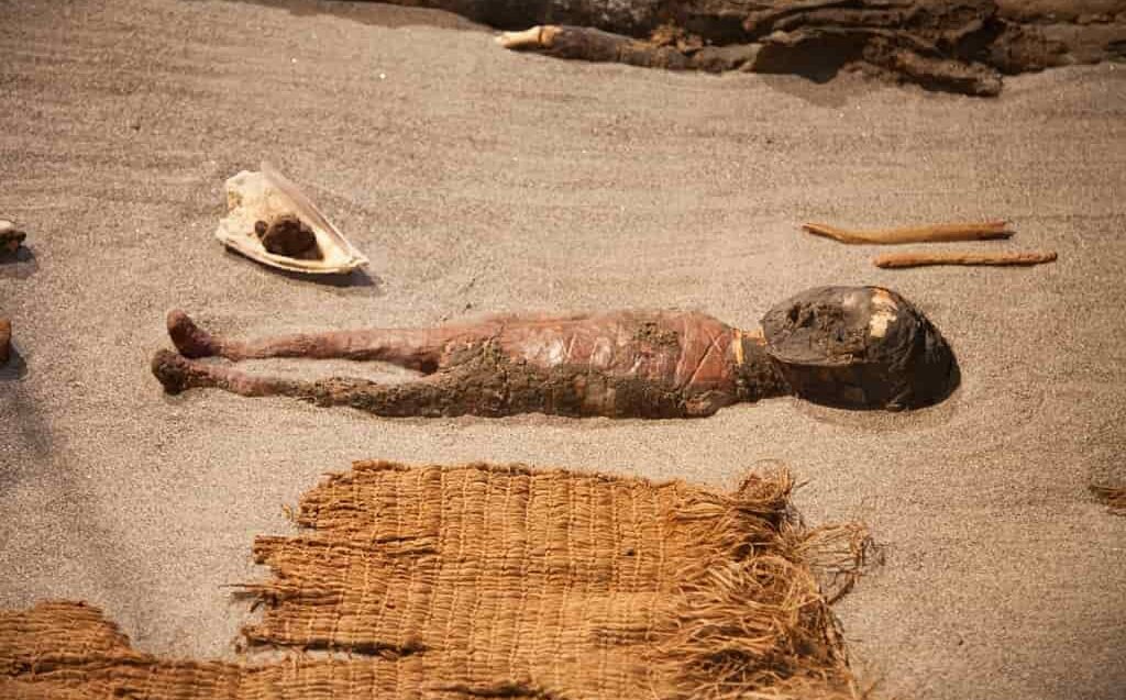 Мумифицированное тело ребенка чинчорро. Фото из открытых источников в интернете
