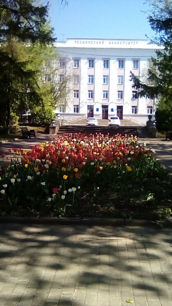 Технический университет