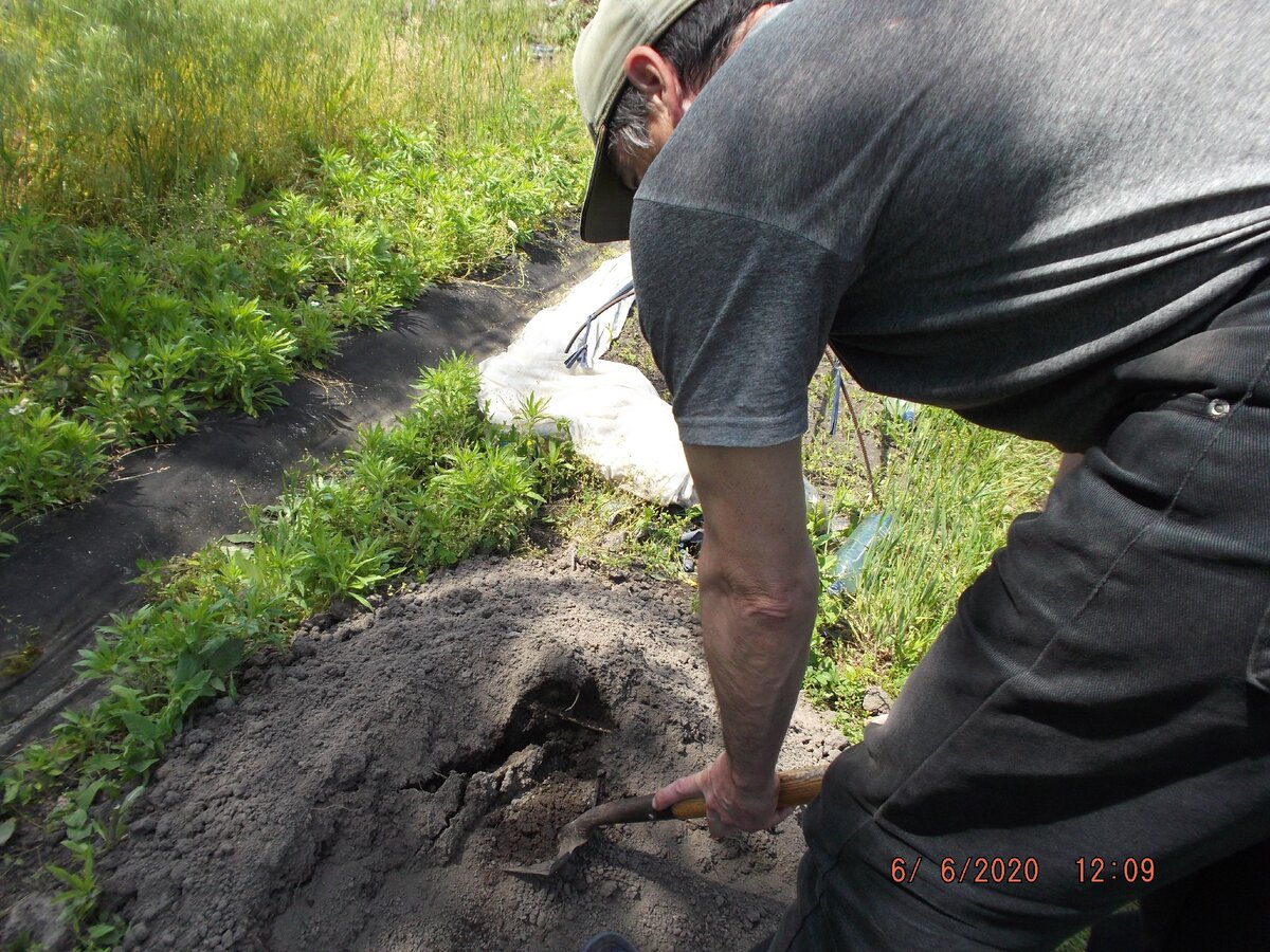 Перед церковными праздниками стараюсь  все дела доделать до вечерней службы в храме