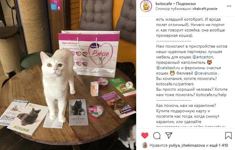Пример спонсорского поста в аккаунте Инстаграм @kotocafe 