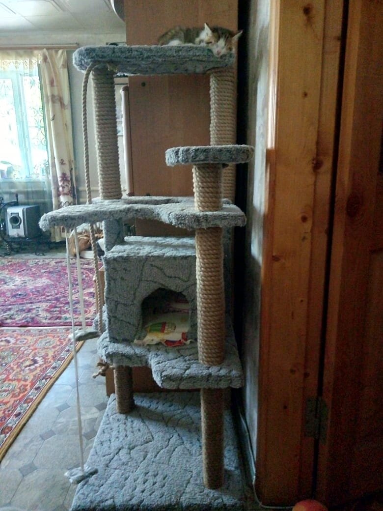 Прошу прощение за вертикальную фотку. По другому бы не влезло