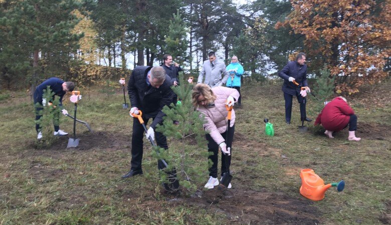 ФОТО: ПРЕДОСТАВЛЕНО КОМИТЕТОМ ПО БЛАГОУСТРОЙСТВУ