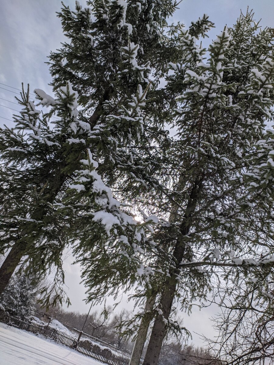                                                         24 октября 2020 год