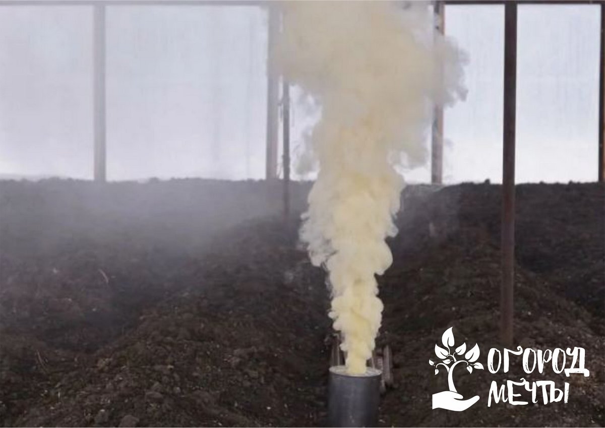 Средство для обработки теплицы. Окуривание теплицы серной шашкой. Серная шашка в теплице из поликарбоната. Теплица обработать шашкой. Дезинфекция теплицы.