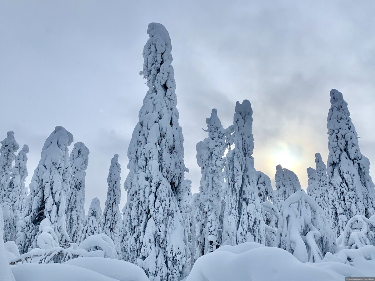 Снег живет предложение. Каменный город Пермский край зимой. Снежная 20. Каменный город зимой фото.