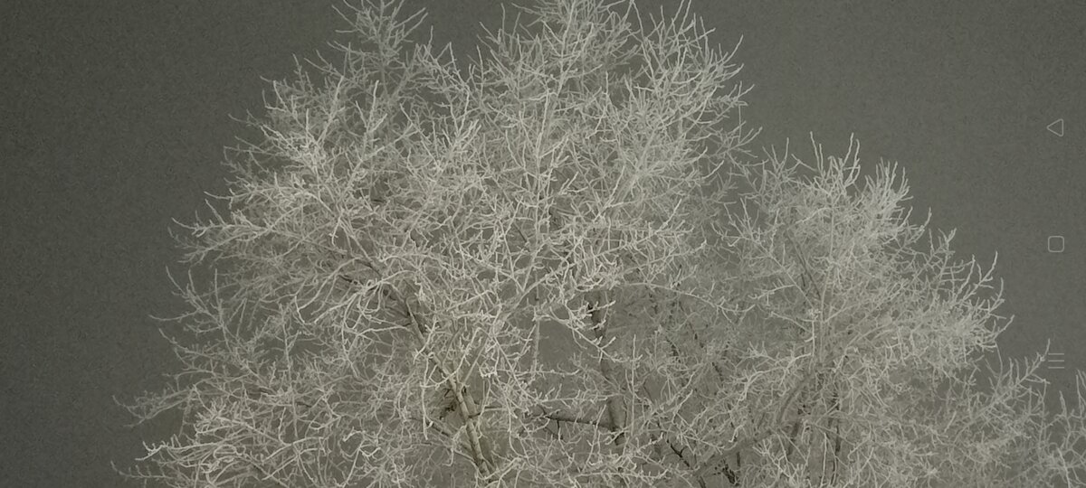 (Личное фото автора)