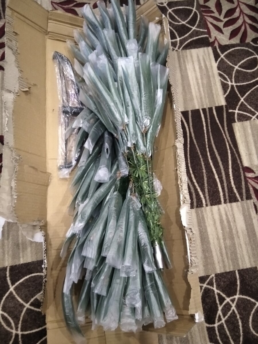 Распаковываем