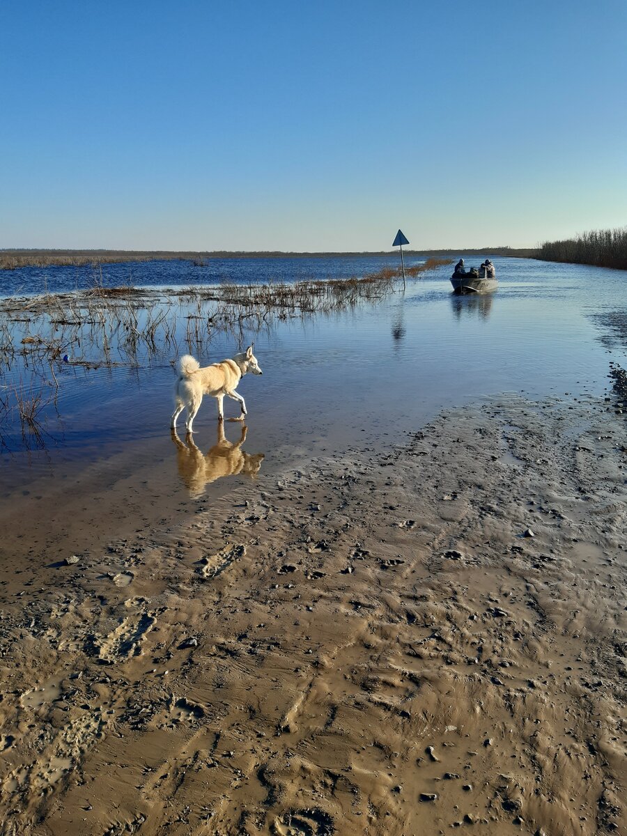 Из личного архива