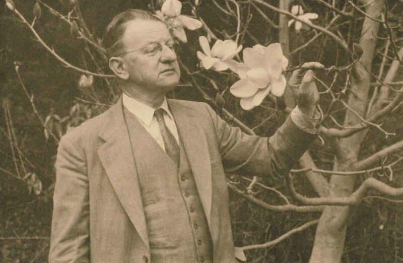 Эрик Вальтер, первый директор San Francisco Botanical Garden 