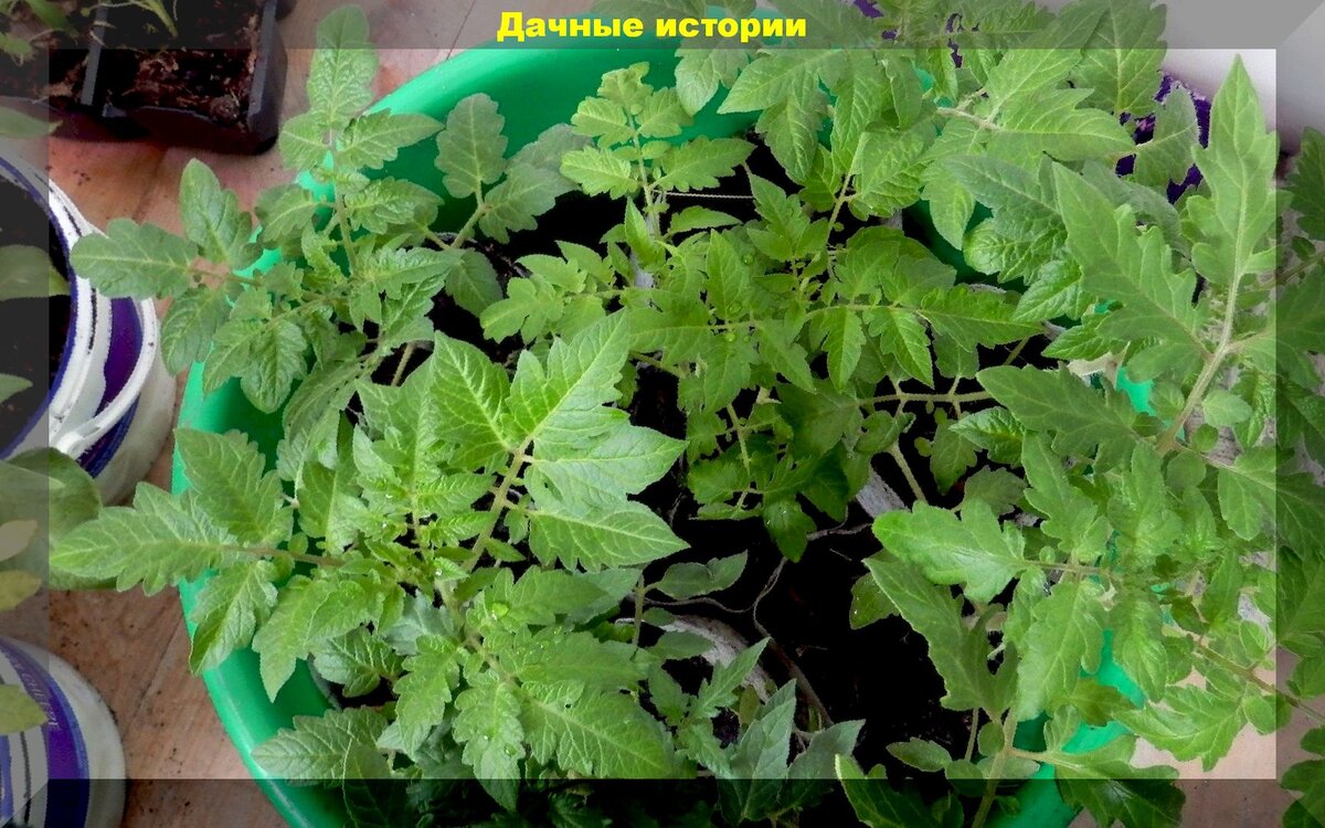 https://vk.com/photo-159774511_457245200