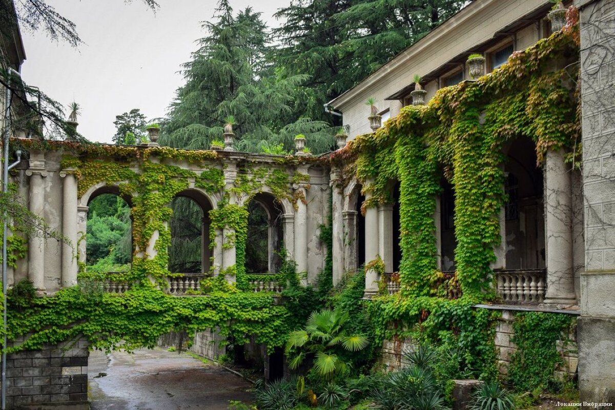 Фото: twitter.com/red_rebel17