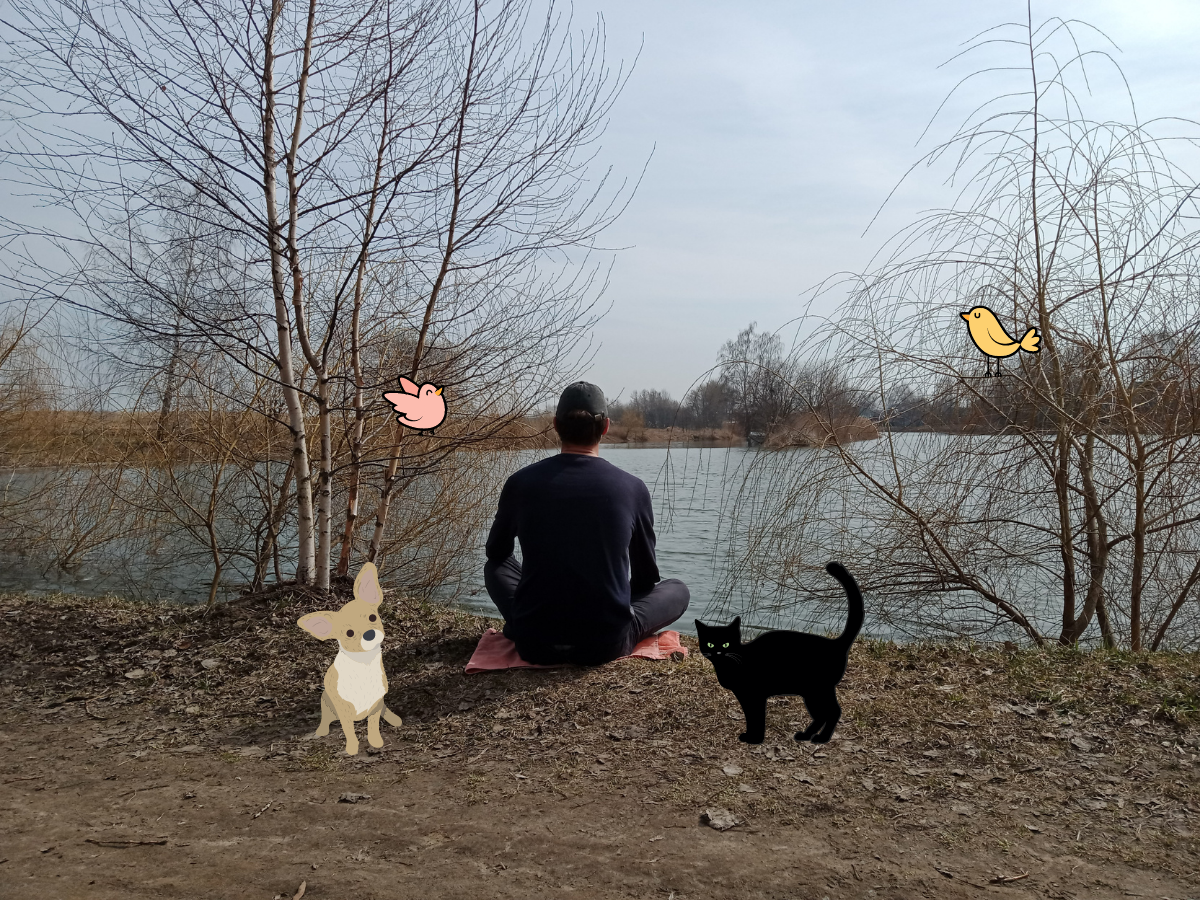 искусству ничегонеделания можно научиться у братьев наших меньших