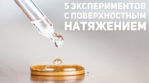 5 экспериментов с поверхностным натяжением